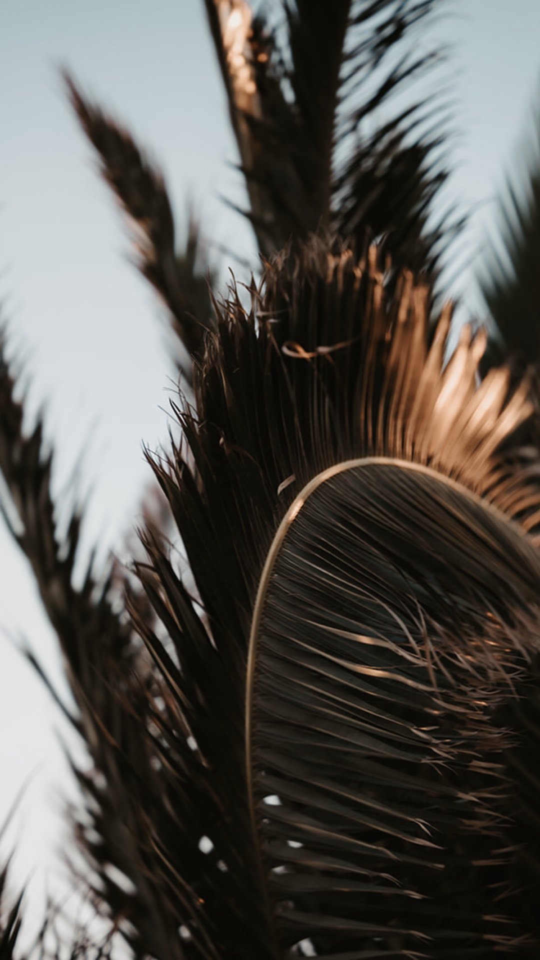 Wedding ceremony in Greece during an elegant destination wedding overlooking the Mediterranean.