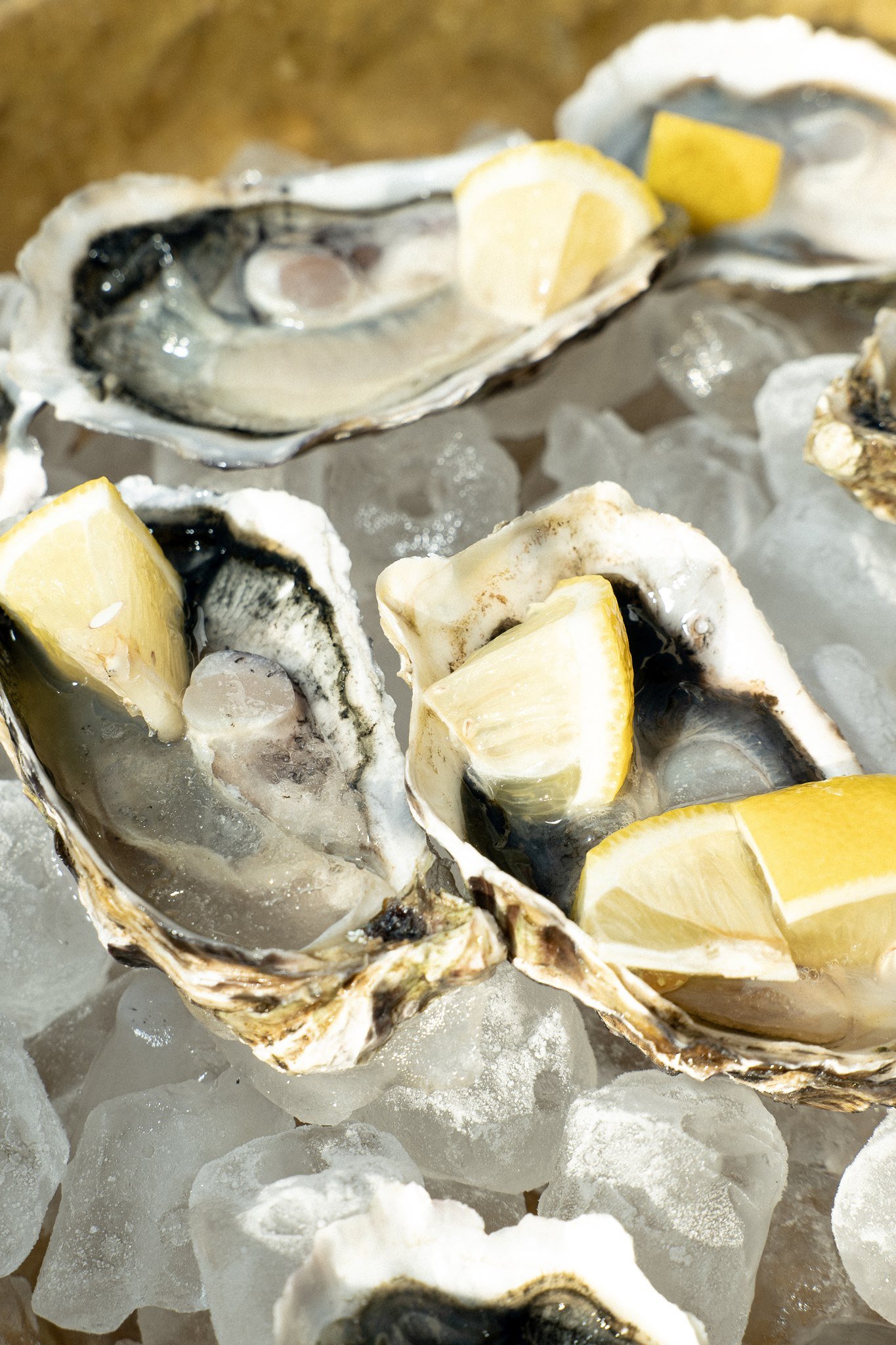 Fresh oysters on ice with lemon at a Schloss Duttenstein wedding